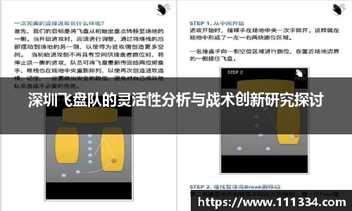 深圳飞盘队的灵活性分析与战术创新研究探讨
